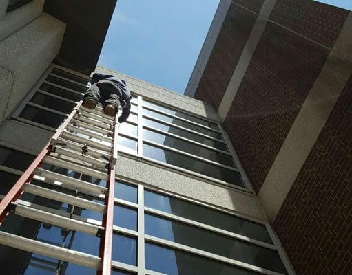 Commercial Window Cleaning