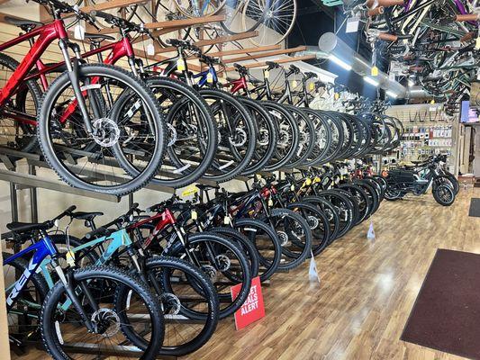 Huge selection of bicycles