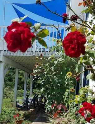 Norally Asheville Vacation Rentals wrap around deck and patio