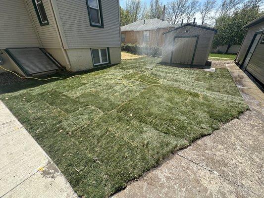 Releveling of yard & new sod.