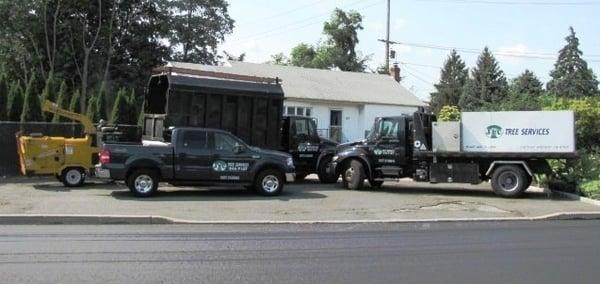 JLC Tree Services; A full service tree company, providing plant health care, pruning and removals. Contact off.631-846-9107.