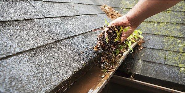 Gutter Cleaning