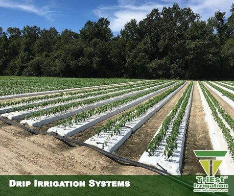 Drip Irrigation Systems