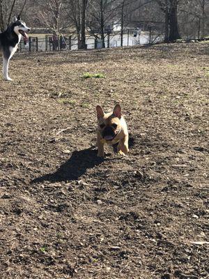 Running in the park