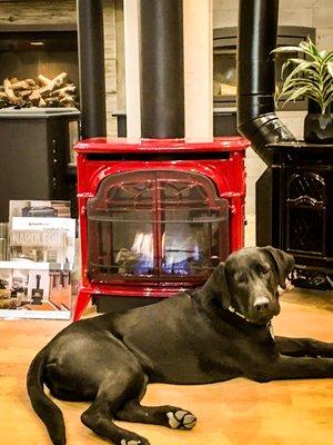 Moki with our favorite gas stove - Vermont Castings Stardance in yummy Bordeaux