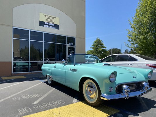 55 T-bird