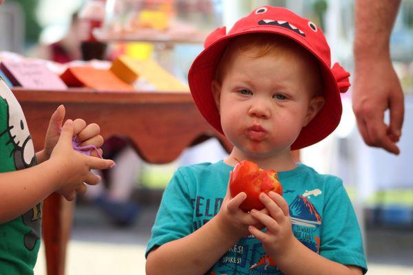 Every Saturday, William enjoys one of Bobby's tomatoes!