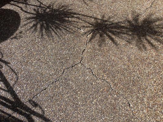 The cracked patio deck obviously needing some attention.