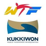 We are a WTF Kukkiwon Taekwondo school