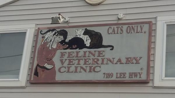 Feline Veterinary Clinic