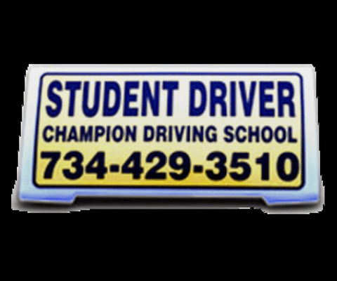 Offering Segment one, Segment two, and Adult driving Lessons