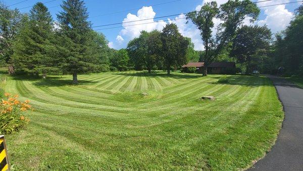 EV Tree & Landscaping