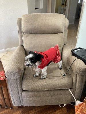 Would like a quote for the labor to reupholster this recliner.