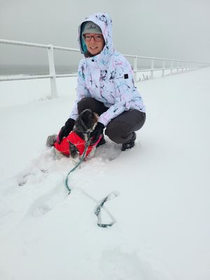 Summer's Dog Walking Service