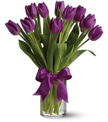 Passionate Purple Tulips