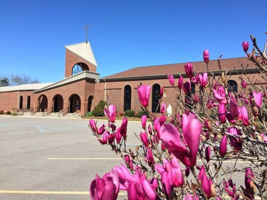 View from the outside. Early Spring.