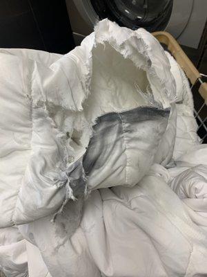 This is the soiled and ripped mattress pad.