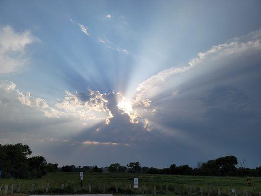 Frank Shoemaker Marsh