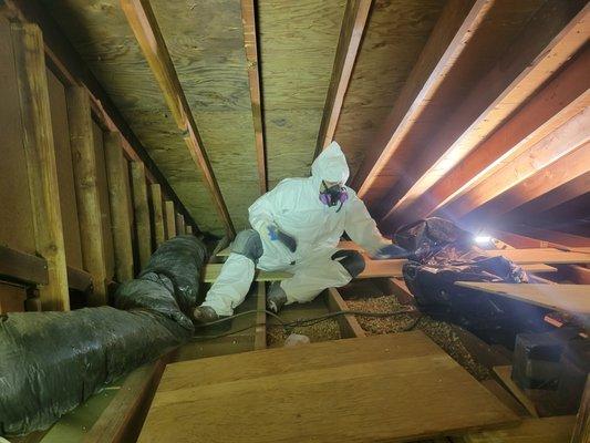 Asbestos Contaminated Vermiculite Attic Insulation