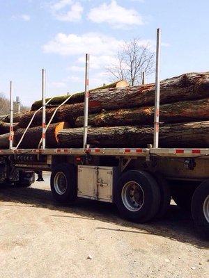 Banks Brothers Sawmilling