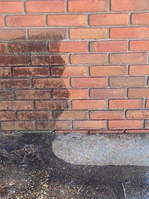 Brick and concrete cleaning.