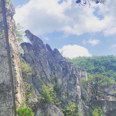 The halfway point is at a rock that looks like a squirrel. You will climb over it