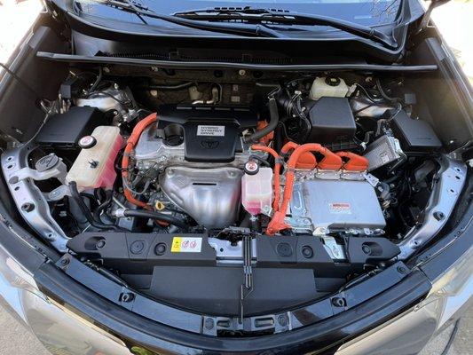 Cleaned and shined engine compartment