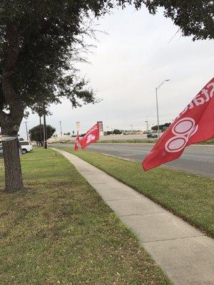 Flying the colors !!