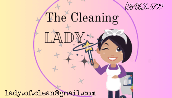 The Cleaning Lady