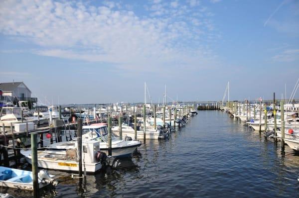 Marina on The Bay - 150 slips for boats to 50 feet (summer and winter storage) and transient dockage up to 110 ft, travel lift