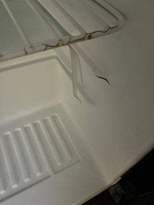 Damaged fridge