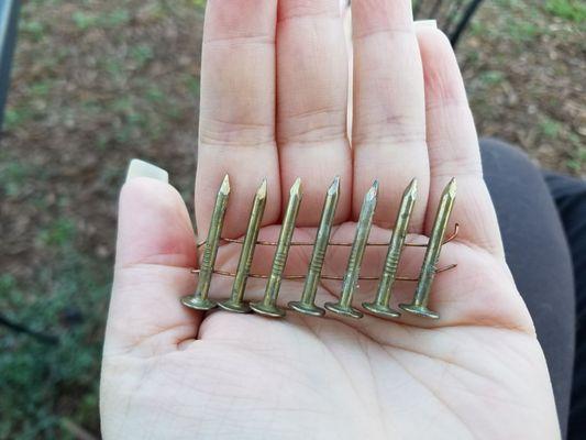 More nails! Sticking up in the ground! Almost stepped on them!