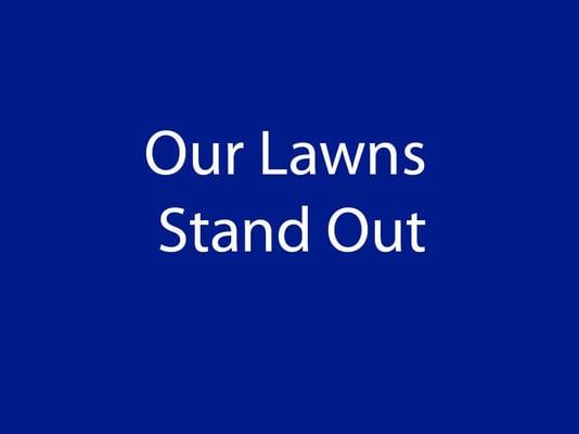 Our Lawns Stand Out