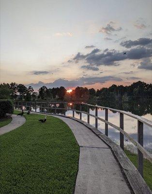 Walkways around the lakes, but the ducks and dog feces we're always getting on my shoes.