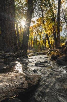 4-Mile ditch creek - Credit Dustin English