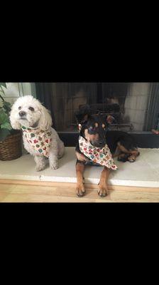 Matching bandanas from the 5k