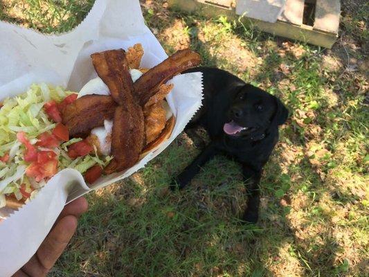 Food Truck deliciousness!!! These guys are great, I have followed them from the beginning and the food has always been great