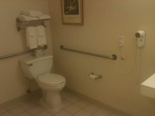 Massive Bathroom. Handicap friendly.