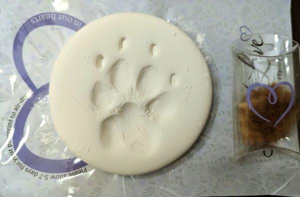 Paw print and hair clipping