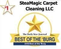 Steamagic Carpet Care