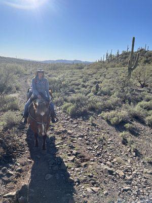 On the trail