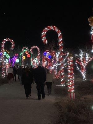 Candy Cane Lane!