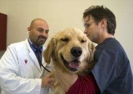 Animal Hospital in Wayne, New Jersey