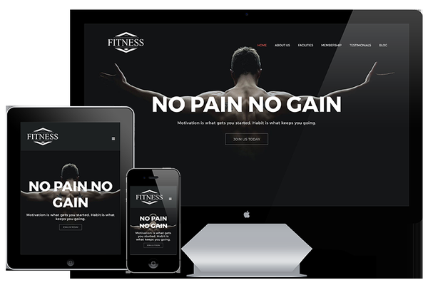 Gym and Fitness Websites