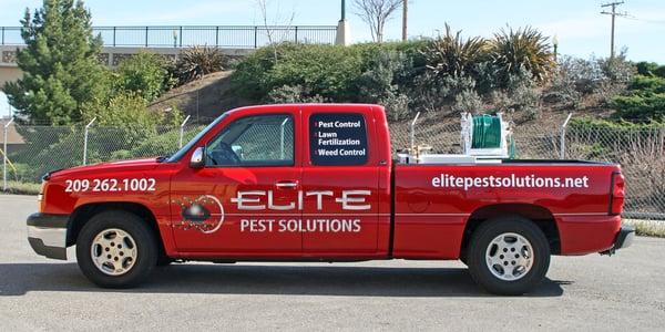 Elite Pest Solutions