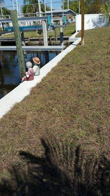 The finished Seawall.  Very happy with Florida Marine Works