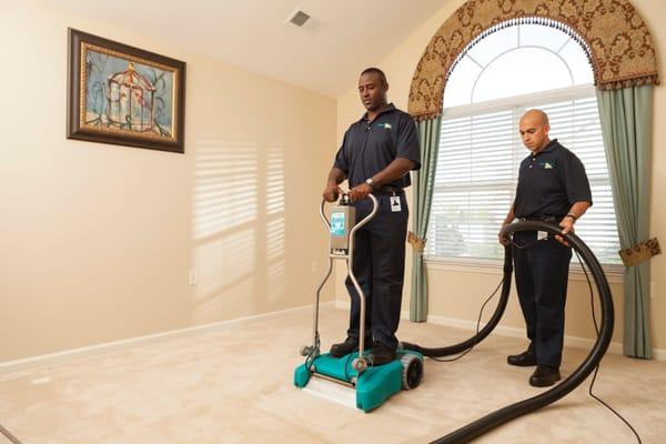 Carpet Cleaning