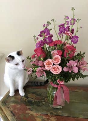 Received these as a gift! Thought they were lovely (didn't let kitty chew on the Lillie's don't worry!)