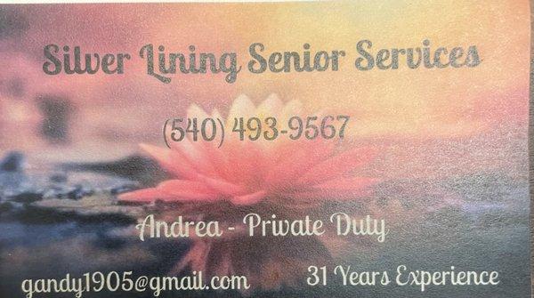 Silver Lining Senior Services