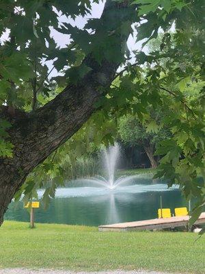 view of pond from our site